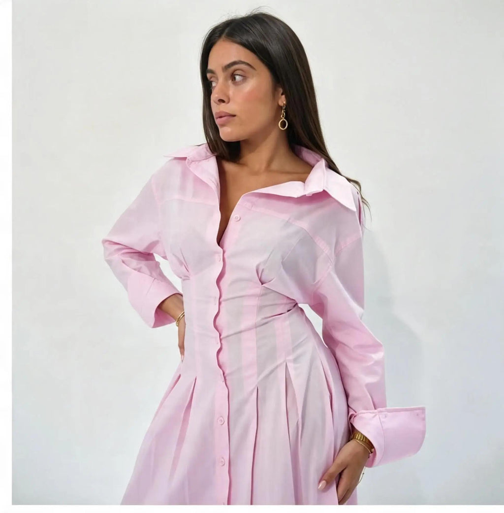 poplin waisted dress